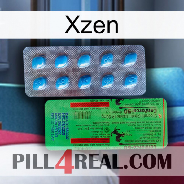 Xzen new03.jpg